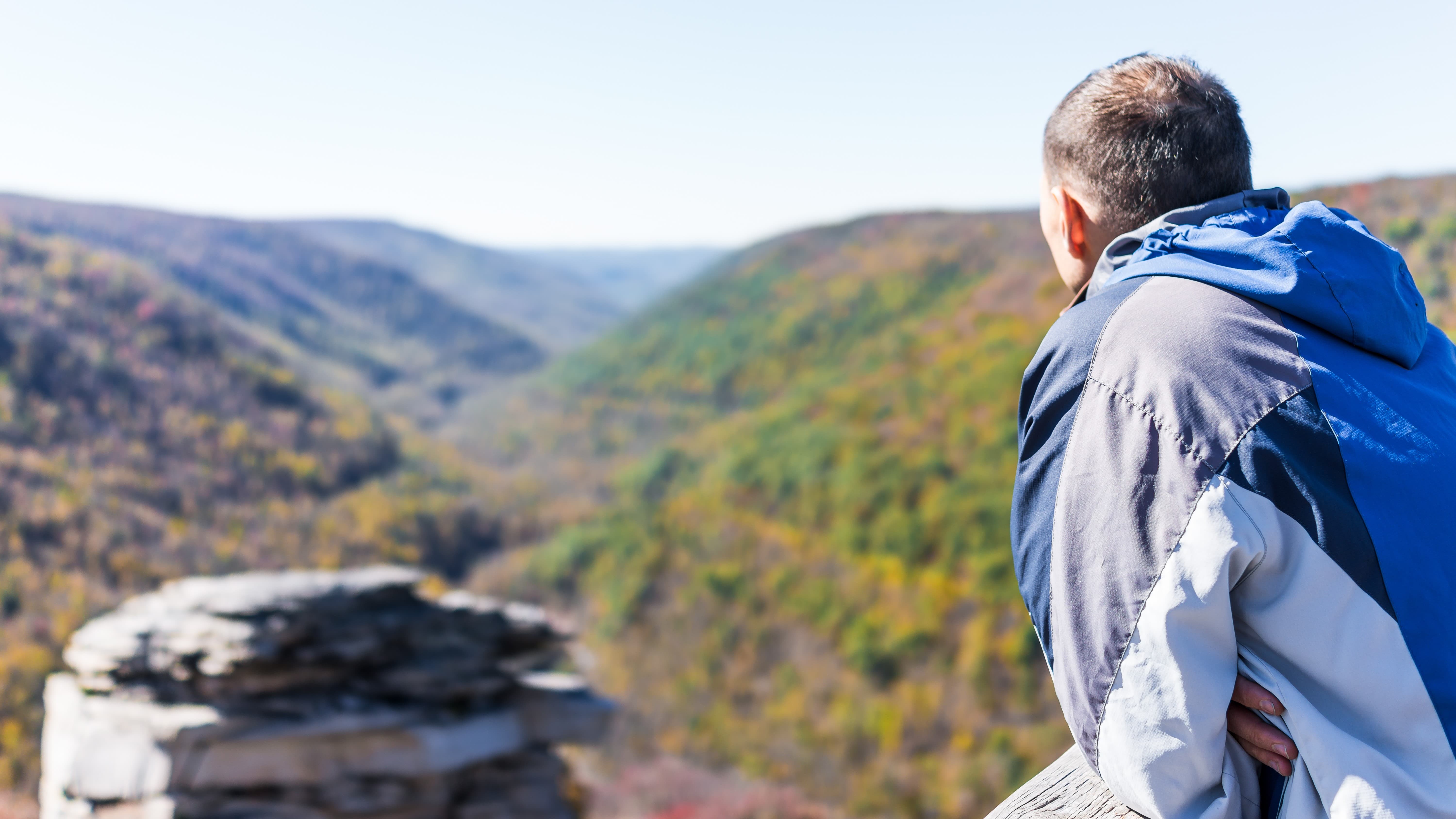 Nakatanaw sa kagubatan